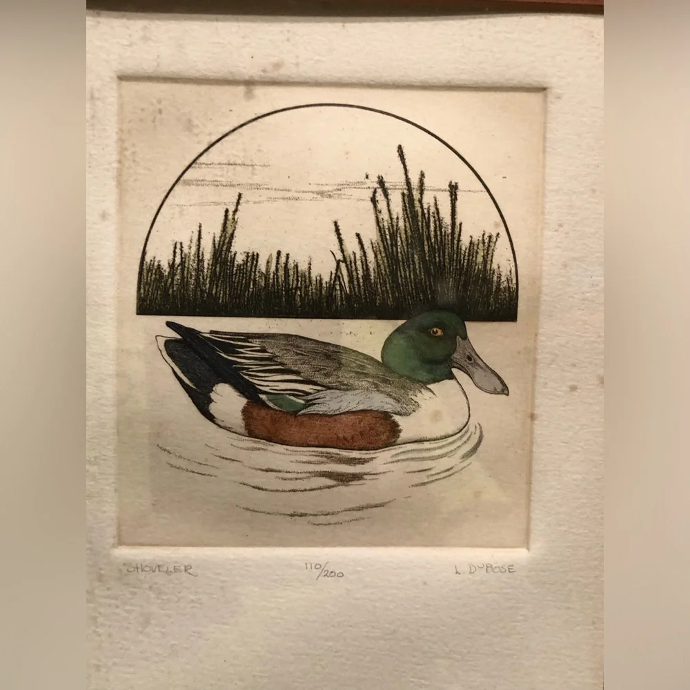 2258 Set Canvas Back /Shoveler Duck Prints by L. DuBose Signed & Numbered Framed